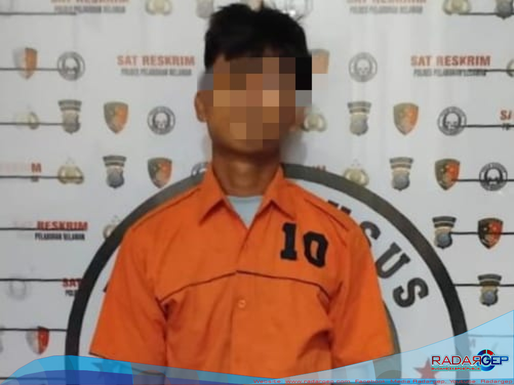 Sat Reskrim Polres Pelabuhan Belawan Tangkap Pelaku Penganiayaan Berat Terhadap Adik Kandung